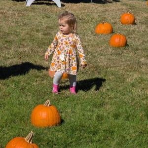 Harvesting Memories: BRVM Harvest Day 2026