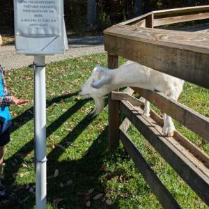 Harvesting Memories: BRVM Harvest Day 2026