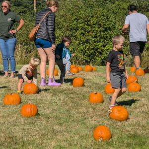 Harvesting Memories: BRVM Harvest Day 2026