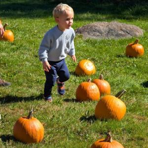 Harvesting Memories: BRVM Harvest Day 2026