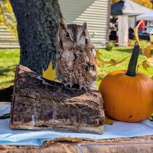 Harvesting Memories: BRVM Harvest Day 2026