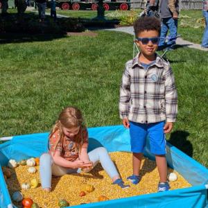 Harvesting Memories: BRVM Harvest Day 2026