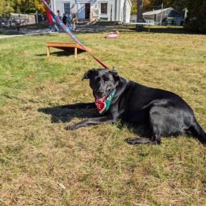 Harvesting Memories: BRVM Harvest Day 2026
