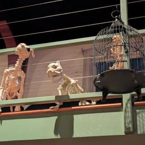 Shifting shadows, stories, haunt Boothbay Opera House