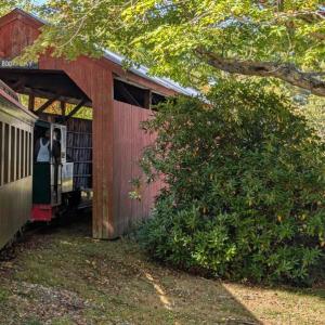 Harvesting Memories: BRVM Harvest Day 2026