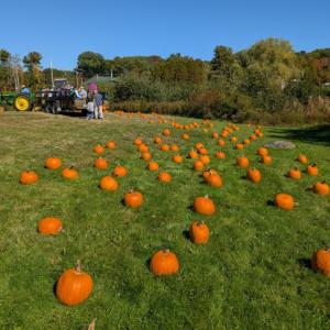 Harvesting Memories: BRVM Harvest Day 2026