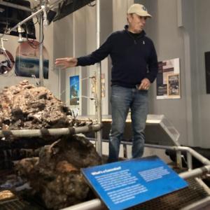 Barry Clifford talks about the concretion behind him that contains a full pirate skeleton with pistol and coin purse - identified in X-ray. Courtesy of Elaine P. Jones