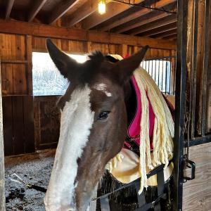 KEVIN BURNHAM/Boothbay Register