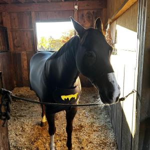 KEVIN BURNHAM/Boothbay Register