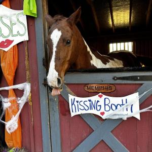 KEVIN BURNHAM/Boothbay Register