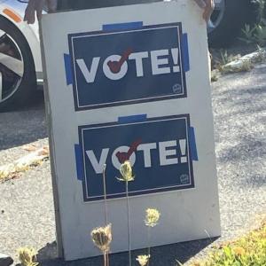 Vote early. Courtesy photo