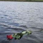 One Rose For Wendy