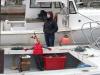 A young boy in a local lobster boat looks for Santa to arrive on the Novelty. GARY DOW/Boothbay Register