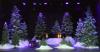 The stage at the festival of trees at the Boothbay Opera House.  GARY DOW/Boothbay Register