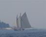 American Eagle. SUE MELLO/Boothbay Register