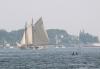 American Eagle. SUE MELLO/Boothbay Register