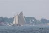 American Eagle. SUE MELLO/Boothbay Register