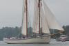 The American Eagle. SUE MELLO/Boothbay Register