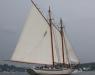 The American Eagle. SUE MELLO/Boothbay Register