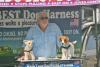 Waiting for the next customer. KEVIN BURNHAM/Boothbay Register