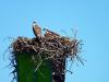 Just another day in paradise for some. GARY DOW/Boothbay Register
