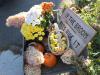 A fitting phrase for a fall festival. RYAN LEIGHTON/Boothbay Register