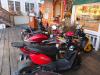  Born to be wild. RYAN LEIGHTON/Boothbay Register