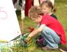 Tiny lobster twaps are a hit. SUE MELLO/Boothbay Register