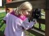 Feeding baby goat. SUE MELLO/Boothbay Register