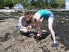 digging