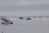 photo of lobster boat race