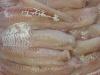 Haddock