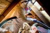 Evergreen Home Performance | Insulation & Air Sealing | Maine