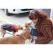 paws a while at camp nancy, mutt scrub, boothbay harbor