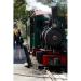 boothbay railway village, mutt scrub, boothbay harbor