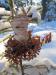 fairy dress, maine