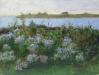 Fall Asters at Grimes Cove