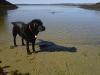brlt, two salty dogs, boothbay harbor