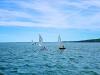 MidCoast Sailing Center optimist dinghy