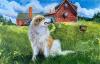 Local Flavors Summer Series Newcastle Realty Sept 12 Susan Tilton Pecora Kim Skillin Traina