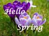 Apartment Rental Special Seniors Retirement Boothbay