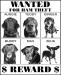 Day of the Dogs - conclusion