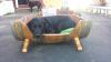 goodbye max two salty dogs pet outfitters