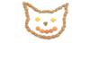 two salty dogs, cat, kitty, everything