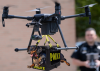 police drone dog, two salty dogs, flying dachshunds, nugget the dachshund