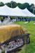 Lincoln Home Newcastle Maine Assisted Living Vibrant Seniors Fundraising LobsterBake