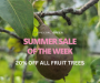 Summer Sale of the Week