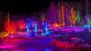 Open Restaurants, Garden’s Aglow