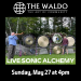 Live Sonic Alchemy