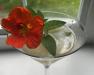 Hand-crafted cocktails